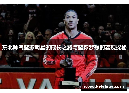 东北帅气篮球明星的成长之路与篮球梦想的实现探秘